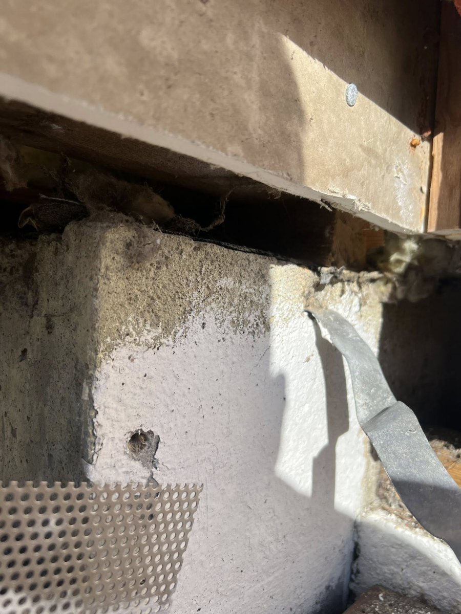 Musesikring av bolig