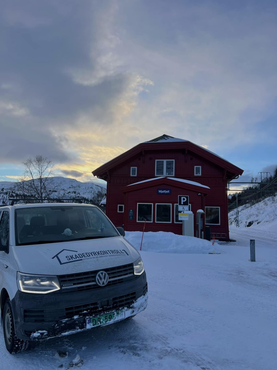 Skadedyrkontroll 1 avd. Vestland AS bil