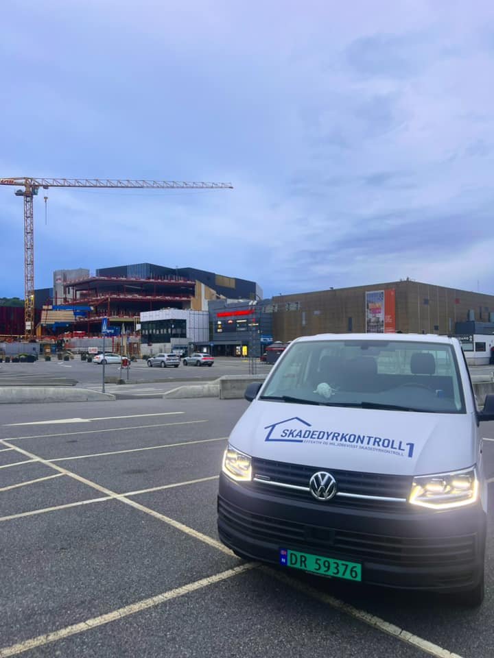 Skadedyrkontroll i Stranda